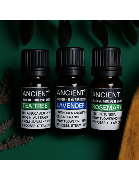 Coffret d’huiles essentielles – Lavande, arbre à thé & romarin