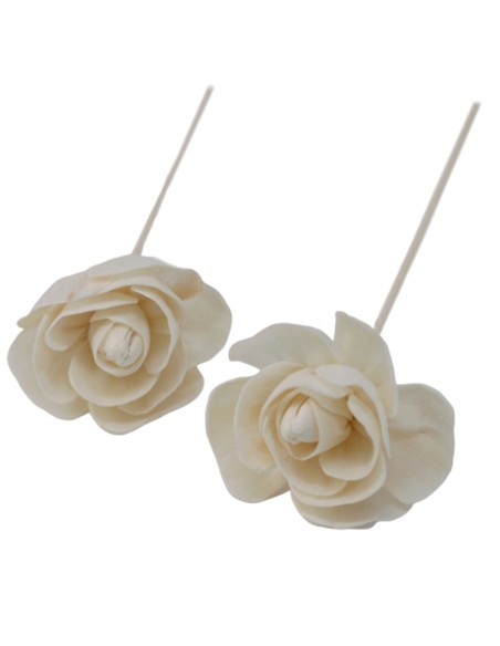 Diffuseur décoratif à fleurs naturelles – Rose