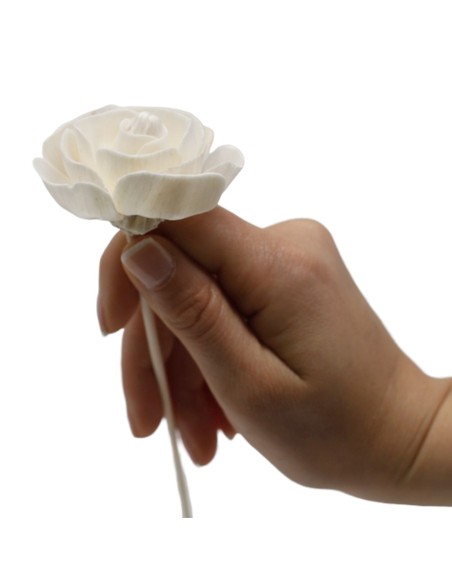 Diffuseur décoratif à fleurs naturelles – Rose