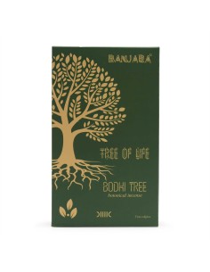 Encens botanique Banjara – Arbre de Bodhi