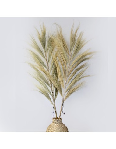 Décoration palme rayung naturelle – Esprit tropical zen