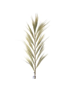 Décoration palme rayung naturelle – Esprit tropical zen