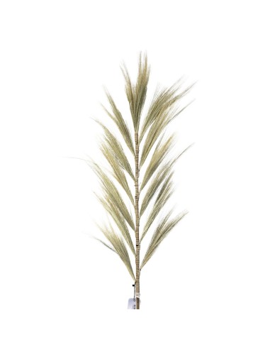 Décoration palme rayung naturelle – Esprit tropical zen