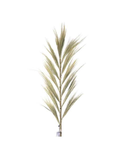 Décoration palme rayung naturelle – Esprit tropical zen