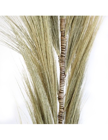 Décoration palme rayung naturelle – Esprit tropical zen