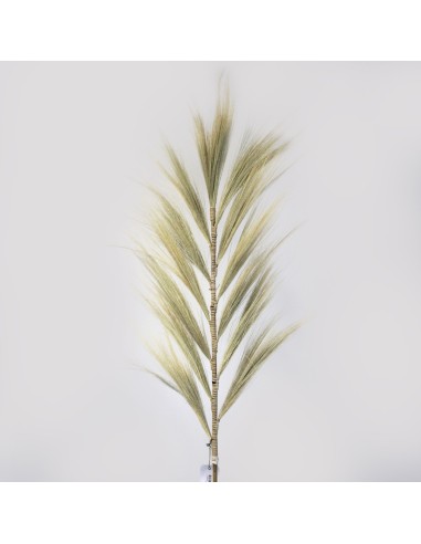 Décoration palme rayung naturelle – Esprit tropical zen