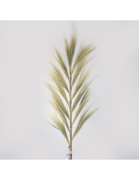 Décoration palme rayung naturelle – Esprit tropical zen