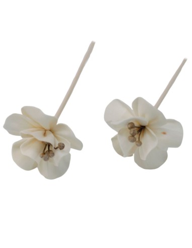 Diffuseur décoratif à fleurs naturelles – Lys