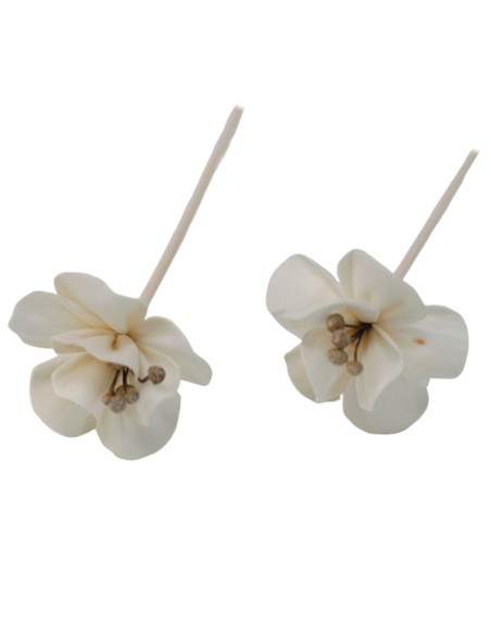 Diffuseur décoratif à fleurs naturelles – Lys
