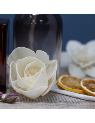 Diffuseur décoratif à fleurs naturelles – Lys