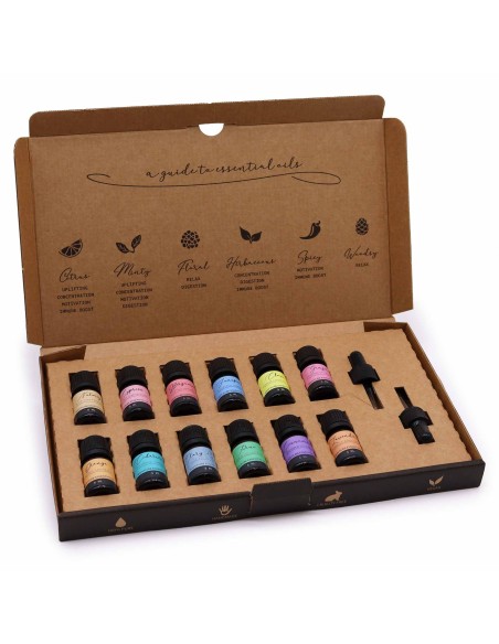 Coffret d’huiles essentielles – Automne zen