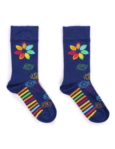 Chaussettes en bambou Hop Hare – Chakra Arc-en-ciel (S/M)