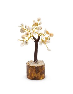 Arbre Gomati Chakra – Cercle énergétique sacré