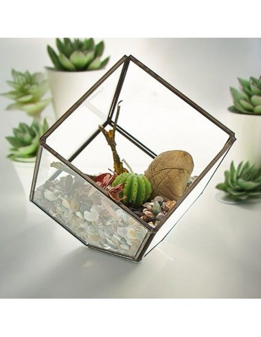 Terrarium en verre décoratif – Jardin zen intérieur