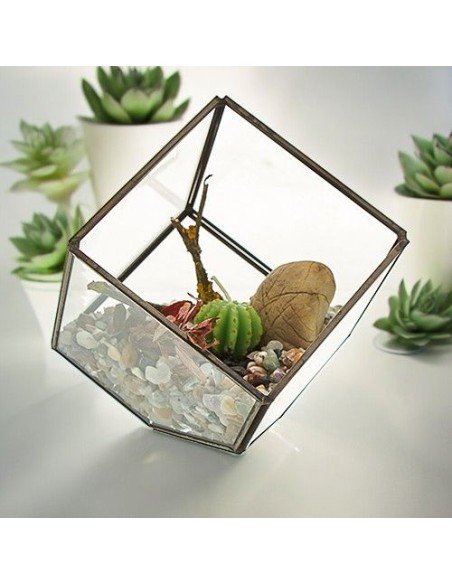 Terrarium en verre décoratif – Jardin zen intérieur
