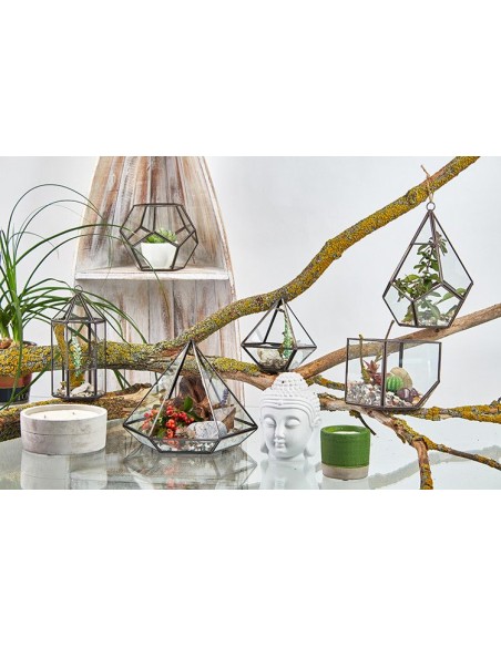 Terrarium en verre décoratif – Jardin zen intérieur