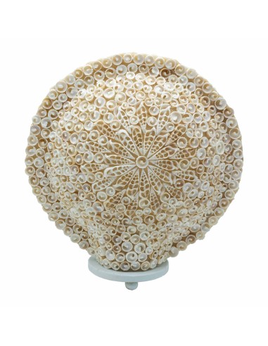 Lampe boho en coquillages – Lumière océane