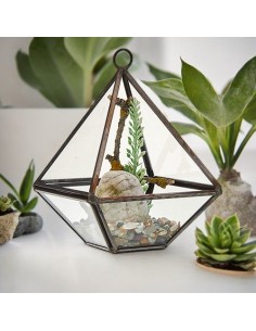 Terrarium en verre diamant – Jardin zen