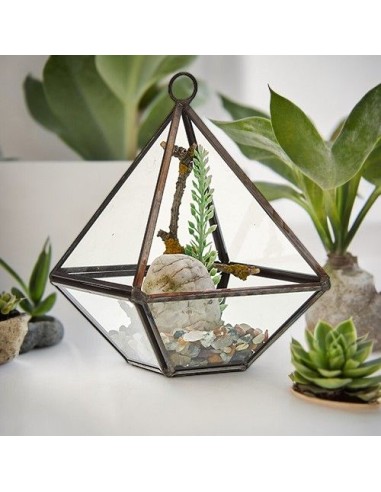 Terrarium en verre diamant – Jardin zen