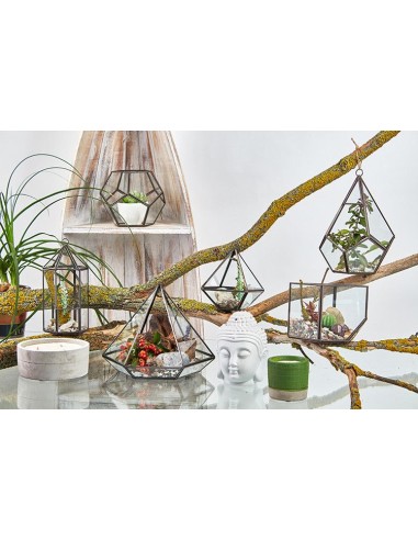 Terrarium en verre diamant – Jardin zen