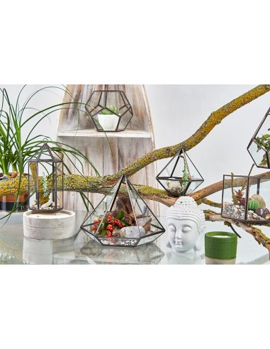 Terrarium en verre diamant – Jardin zen