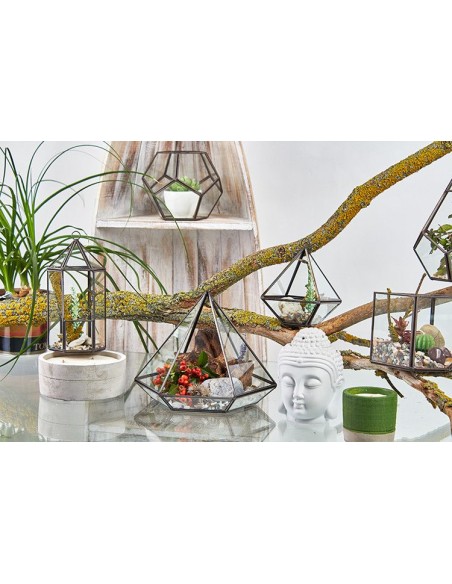Terrarium en verre diamant – Jardin zen