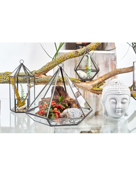 Terrarium en verre diamant – Jardin zen