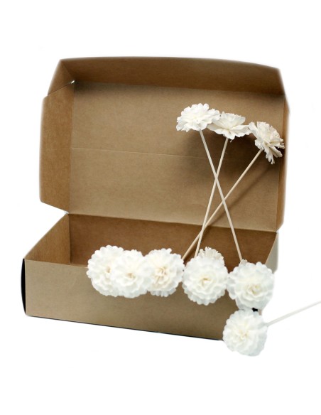 Diffuseur décoratif à fleurs naturelles – Œillet sur tige