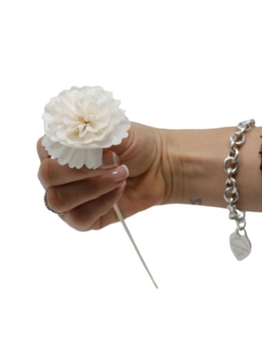 Diffuseur décoratif à fleurs naturelles – Œillet sur tige
