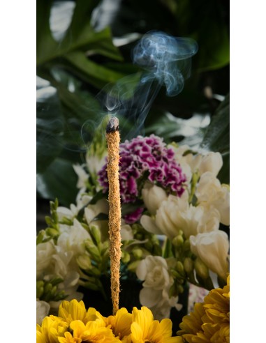 Encens botanique – Gardénia & calendula
