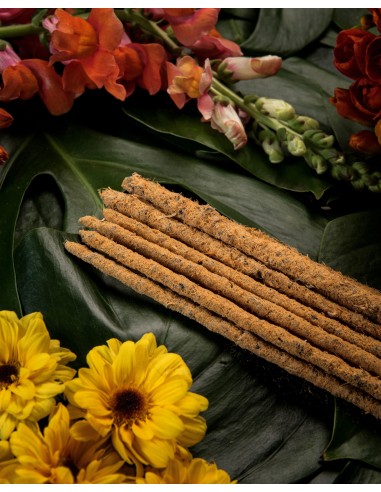 Encens botanique – Gardénia & calendula