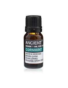 Huile essentielle de menthe verte – Fraîcheur vivifiante zen