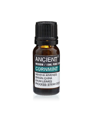Huile essentielle de menthe verte – Fraîcheur vivifiante zen