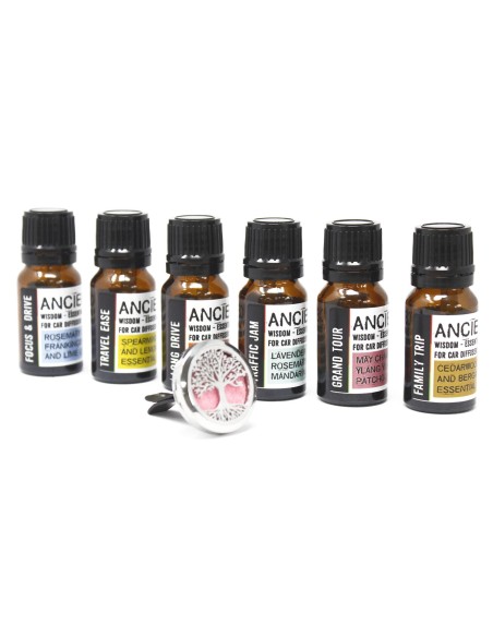 Huile essentielle pour diffuseur voiture – Voyage familial