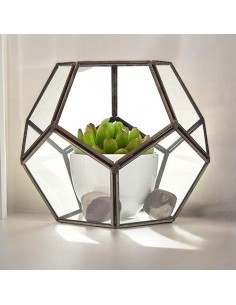Terrarium en verre octogonal – Jardin zen