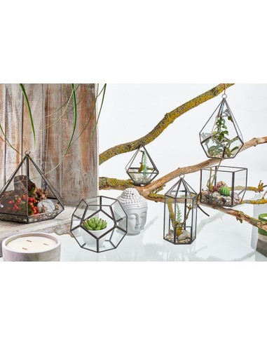 Terrarium en verre octogonal – Jardin zen