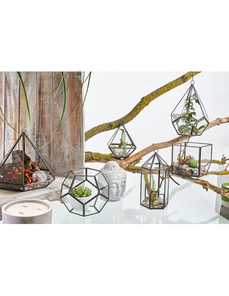 Terrarium en verre octogonal – Jardin zen