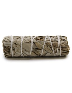 Bâton d’herbes – Sauge blanche