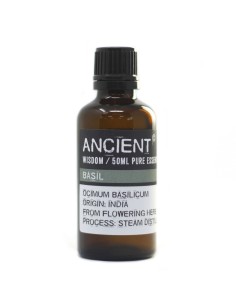 Huile essentielle de basilic – Clarté zen