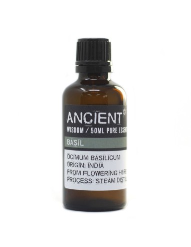 Huile essentielle de basilic – Clarté zen