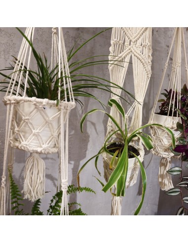Petit cache-pot en macramé – Zen végétal