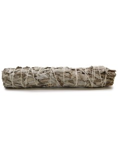 Fagot d’herbes – Sauge blanche longue