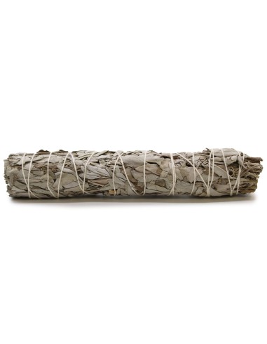 Fagot d’herbes – Sauge blanche longue
