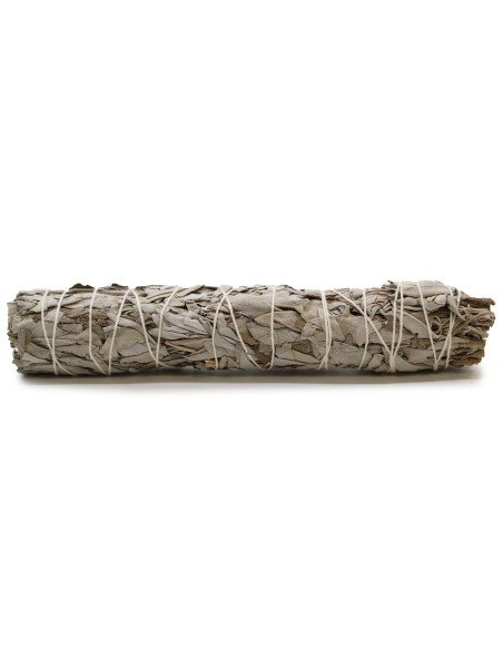 Fagot d’herbes – Sauge blanche longue