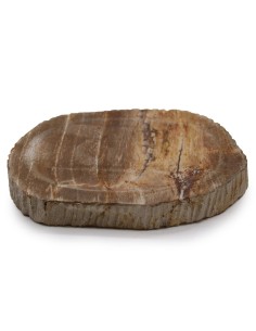 Porte-savon en bois pétrifié – Brun naturel