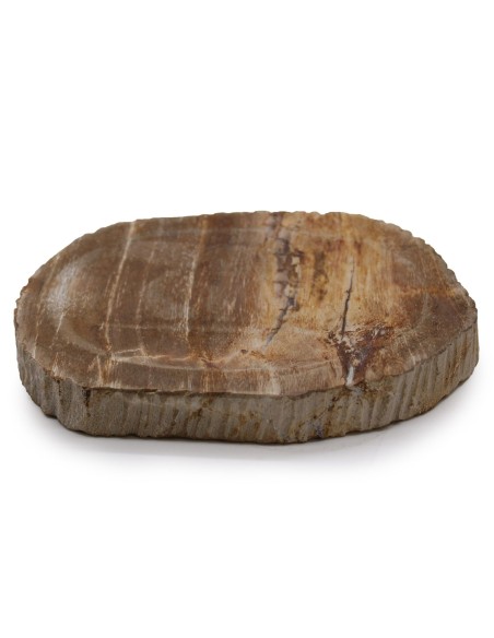 Porte-savon en bois pétrifié – Brun naturel