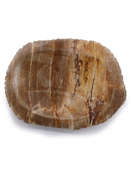 Porte-savon en bois pétrifié – Brun naturel