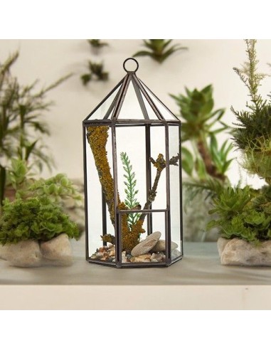 Terrarium en verre - Lanterne 9,5×9,5×20 cm