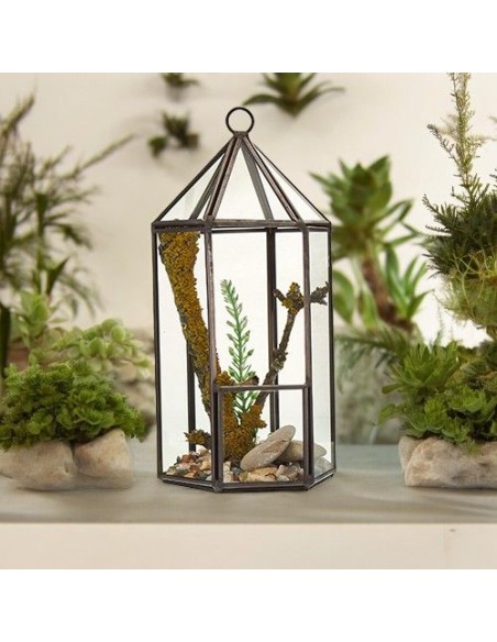 Terrarium en verre - Lanterne 9,5×9,5×20 cm