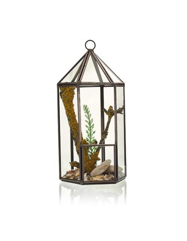 Terrarium en verre - Lanterne 9,5×9,5×20 cm